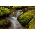 Nikon AF-S 40mm f/2.8G DX Micro Φακός — 246€ Photo Emporiki