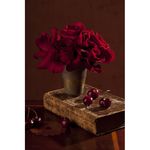 Nikon AF-S 85mm f/1.4G Φακός — 1235€ Photo Emporiki