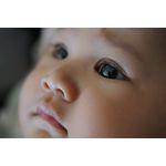 Nikon AF-S 60mm f/2.8G ED Micro Φακός — 515€ Photo Emporiki