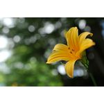 Nikon AF-S 35mm f/1.4G Φακός — 1305€ Photo Emporiki