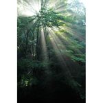 Nikon AF-S 35mm f/1.4G Φακός — 1305€ Photo Emporiki