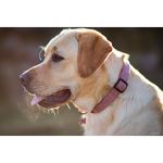 Samyang AF 85mm f/1.4 F (Nikon F-Mount) Φακός — 579€ Photo Emporiki