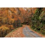 Canon EF 16-35mm f/4L IS USM Φακός — 1161€ Photo Emporiki