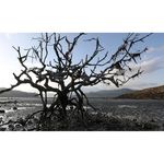 Canon EF 16-35mm f/2.8L III USM Φακός — 1845€ Photo Emporiki