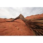 Canon EF 11-24mm f/4L USM Φακός — 2588€ Photo Emporiki