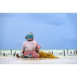 Nikon Z 24-200mm f/4-6.3 VR Φακός — 0€ Photo Emporiki