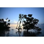 Nikon Z 24-200mm f/4-6.3 VR Φακός — 0€ Photo Emporiki