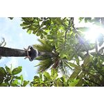 Nikon Z 24-200mm f/4-6.3 VR Φακός — 0€ Photo Emporiki