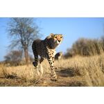 Nikon Z 70-200mm f/2.8 VR S Φακός — 0€ Photo Emporiki