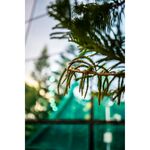 Viltrox AF 35mm f/1.8 (Sony E) — 419€ Photo Emporiki