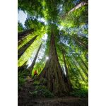 Nikon Z 14-24mm f/2.8 S — 0€ Photo Emporiki