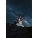 Nikon Z 14-24mm f/2.8 S — 0€ Photo Emporiki