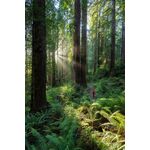 Nikon Z 14-24mm f/2.8 S — 0€ Photo Emporiki