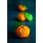 Nikon Z MC 105mm f/2.8 VR S Macro — 0€ Photo Emporiki