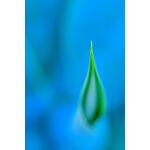 Nikon Z MC 105mm f/2.8 VR S Macro — 0€ Photo Emporiki