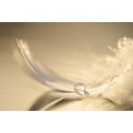 Nikon Z MC 105mm f/2.8 VR S Macro — 0€ Photo Emporiki