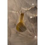 Nikon Z MC 105mm f/2.8 VR S Macro — 0€ Photo Emporiki