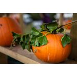 Samyang AF 35mm f/1.8 FE Φακός (Sony E-Mount) — 354€ Photo Emporiki