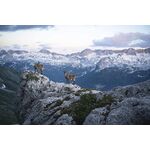 Samyang AF 45mm f/1.8 FE Φακός (Sony E-Mount) — 312€ Photo Emporiki