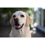 Nikon Z 28-75mm f/2.8 Lens — 0€ Photo Emporiki