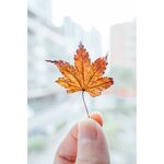 Nikon Z 28-75mm f/2.8 Lens — 0€ Photo Emporiki