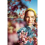 Nikon Z 40mm f/2 — 0€ Photo Emporiki