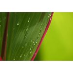 Nikon Z DX 18-140mm f/3.5-6.3 VR Lens — 612€ Photo Emporiki