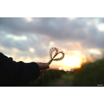 Samyang AF 24-70mm f/2.8 FE (Sony E-Mount) Φακός — 800€ Photo Emporiki