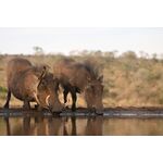 Nikon Z 100-400mm f/4.5-5.6 VR S — 0€ Photo Emporiki