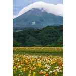 Nikon Z 100-400mm f/4.5-5.6 VR S — 0€ Photo Emporiki