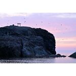 Nikon Z 100-400mm f/4.5-5.6 VR S — 0€ Photo Emporiki