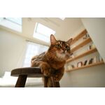 Nikon Z 17-28mm f/2.8 Lens — 0€ Photo Emporiki