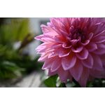 Nikon Z 17-28mm f/2.8 Lens — 0€ Photo Emporiki