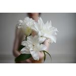 Nikon Z 50mm f/1.2 S Lens — 0€ Photo Emporiki