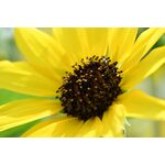 Nikon Z DX 18-140mm f/3.5-6.3 VR Lens — 612€ Photo Emporiki