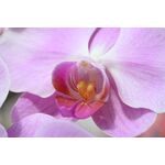 Nikon Z DX 18-140mm f/3.5-6.3 VR Lens — 612€ Photo Emporiki