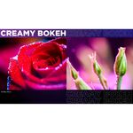 Laowa 90mm f/2.8 2x Ultra Macro APO (for Sony E) — 549€ Photo Emporiki