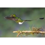 Laowa 90mm f/2.8 2x Ultra Macro APO (for Sony E) — 549€ Photo Emporiki