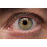 Laowa 90mm f/2.8 2x Ultra Macro APO (for Sony E) — 549€ Photo Emporiki