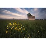 Laowa 10mm f/4 Cookie Lens (for Fujifilm X) — 499€ Photo Emporiki