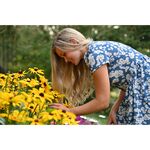 Nikon Z 24-120mm f/4 S (Bulk) — 0€ Photo Emporiki