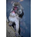 Nikon Z 24-70mm f/2.8 S Φακός — 0€ Photo Emporiki