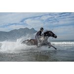 Nikon Z 24-70mm f/2.8 S Φακός — 0€ Photo Emporiki