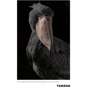 Tamron 70-180mm f/2.8 Di III VXD Φακός για Sony E Mount — 1298€ Photo Emporiki