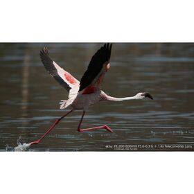 Sony FE 200-600mm f/5.6-6.3 G OSS — 1553€ Photo Emporiki