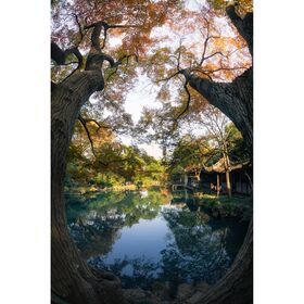7artisans 7.5mm f/2.8 Mark II Photoelectric Fisheye (Nikon Z) — 136€ Photo Emporiki