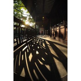 7artisans 7.5mm f/2.8 Mark II Photoelectric Fisheye (Nikon Z) — 136€ Photo Emporiki