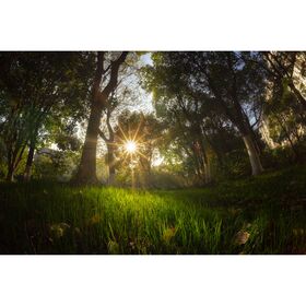 7artisans 7.5mm f/2.8 Mark II Photoelectric Fisheye (Nikon Z) — 136€ Photo Emporiki