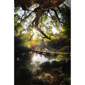 7artisans 7.5mm f/2.8 Mark II Photoelectric Fisheye (Nikon Z) — 136€ Photo Emporiki
