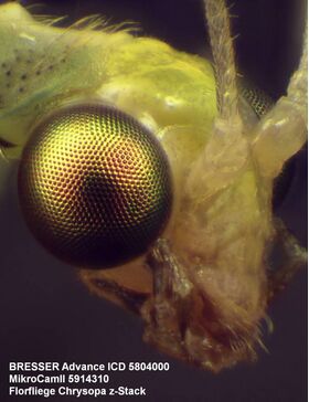 Bresser Advance ICD 10x-160x Stereo Microscope — 645€ Photo Emporiki
